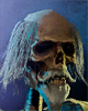 Icon DOS2 Trompdoy.png